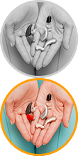 Hearing Aid Repairs - Mt. Juliet, TN